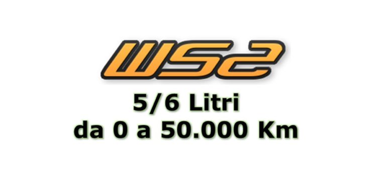 25 Gr. di WS2 per 5/6 Lt di olio su Motori NUOVI