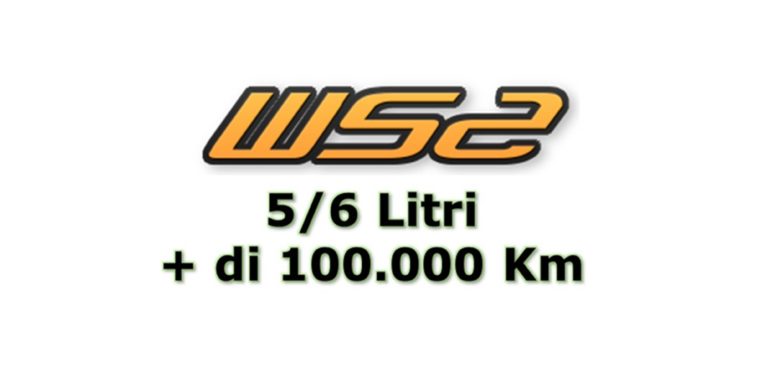 40 Gr. di WS2 per 5/6 Lt di olio su Motori con ALTA usura