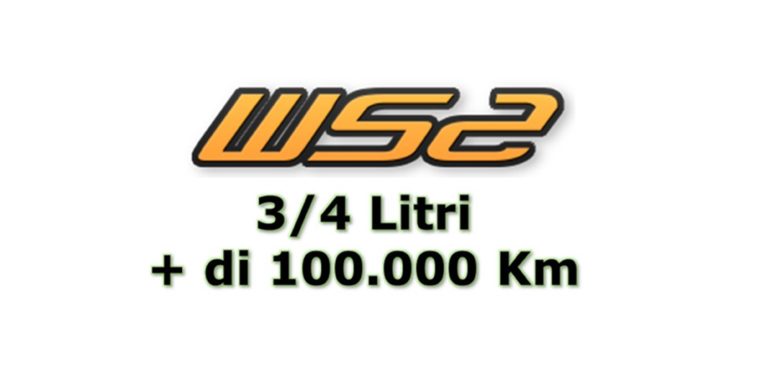 25 Gr. di WS2 per 3/4 Lt di olio su Motori con ALTA usura