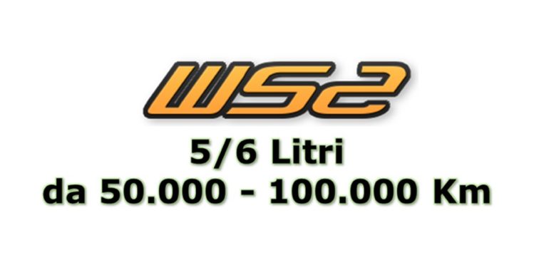 37,5 gr. di WS2 per 5/6 Lt di olio su Motori con MEDIA usura