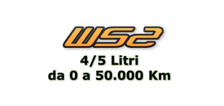 20 Gr. di WS2 per 4/5 Lt di olio su Motori NUOVI